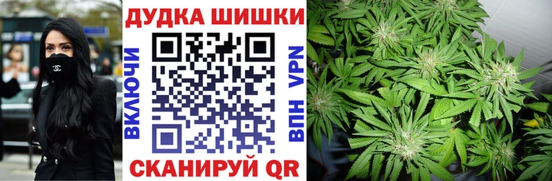 Виды наркотиков купить Хилок мега как войти  Героин  Альфа ПВП  Гашиш  Галлюциногенные грибы 