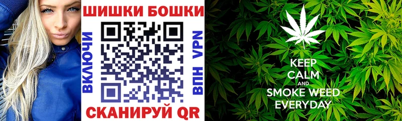 блэк спрут tor  как найти   Хилок  Марихуана сатива 